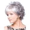 2025 European Fashion Wig Short Wavy Curly Wig For Women