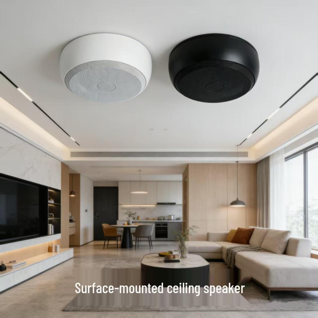 Tianlai TL-D53 Surface Mounted 20W Ceiling Speaker for Homes Without Suspended Ceilings