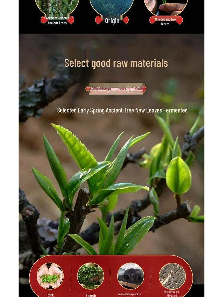 Yunnan Ripe Pu-erh Tea Cake - Bulang Mountain Ancient Tea Tree, 357g