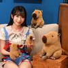 Cute Simulation Capybara Doll Plush Toy Kapibara Doll Girl Soothing Rag Doll Birthday Gift
