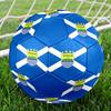 Persib Bandung Indoor Soccer Ball Colorful All Ages Size 5 Machine Stitched PVC Competition Ready Durable High-Bounce