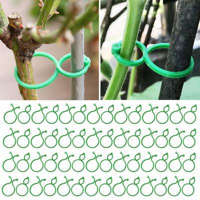 100 pezzi clip di supporto per piante clip da giardino riutilizzabili clip salvaspazio per viti di pomodoro clip per fiori leva anello pinza fissaggio clip per piante rampicanti