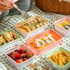 Disposable Picnic Food Containers