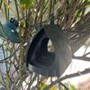 New Durable Plastic Outdoor Suspended Bird Feeder with Drain Hole At The Bottom Simple and Lightweight Design