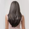 Long Gray Highlights Brown Synthetic Hair Wigs with Bangs Straight Daily Wig