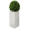 VidaXL Jardinière triangulaire 50x43x75 cm acier inoxydable, jardinière d'extérieur, boîte à fleurs, boîte de jardin, 851179