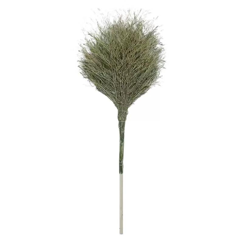 Jingmian Bamboo & Plastic Bristle Broom (2-Pack)