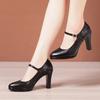 6 8 10cm Small Size 32-43 Shallolw Genuine Leather Shoes Mary Janes 2025 Fall Block High Heels Shoes Platform for Office Dress