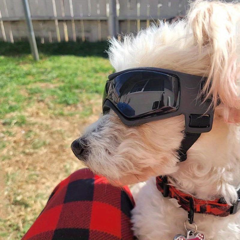 Evcil Hayvan Aksesuarları Köpek Açık Hava UV Korumalı Güneş Gözlüğü Kedi Köpek Gözlükleri Küçük Orta Irk Yavru Köpek Gözlükleri Ayarlanabilir Kayışlar