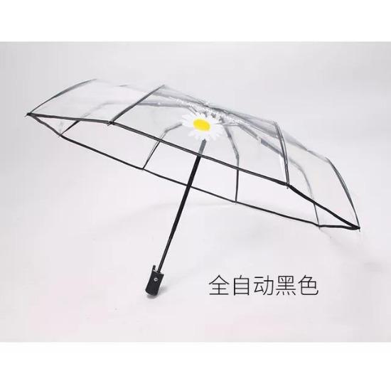 Automatic Umbrella Transparent Manual Umbrella Women's Folding Umbrellas Parasol For Rain And Sun Windproof Business