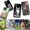 Funny Kitten Cat Phone Cover Case for Xiaomi Redmi Note 15 11 9 10 Pro Plus A5 9A 9T 10A 10C 9C NFC 15C 8T Casing