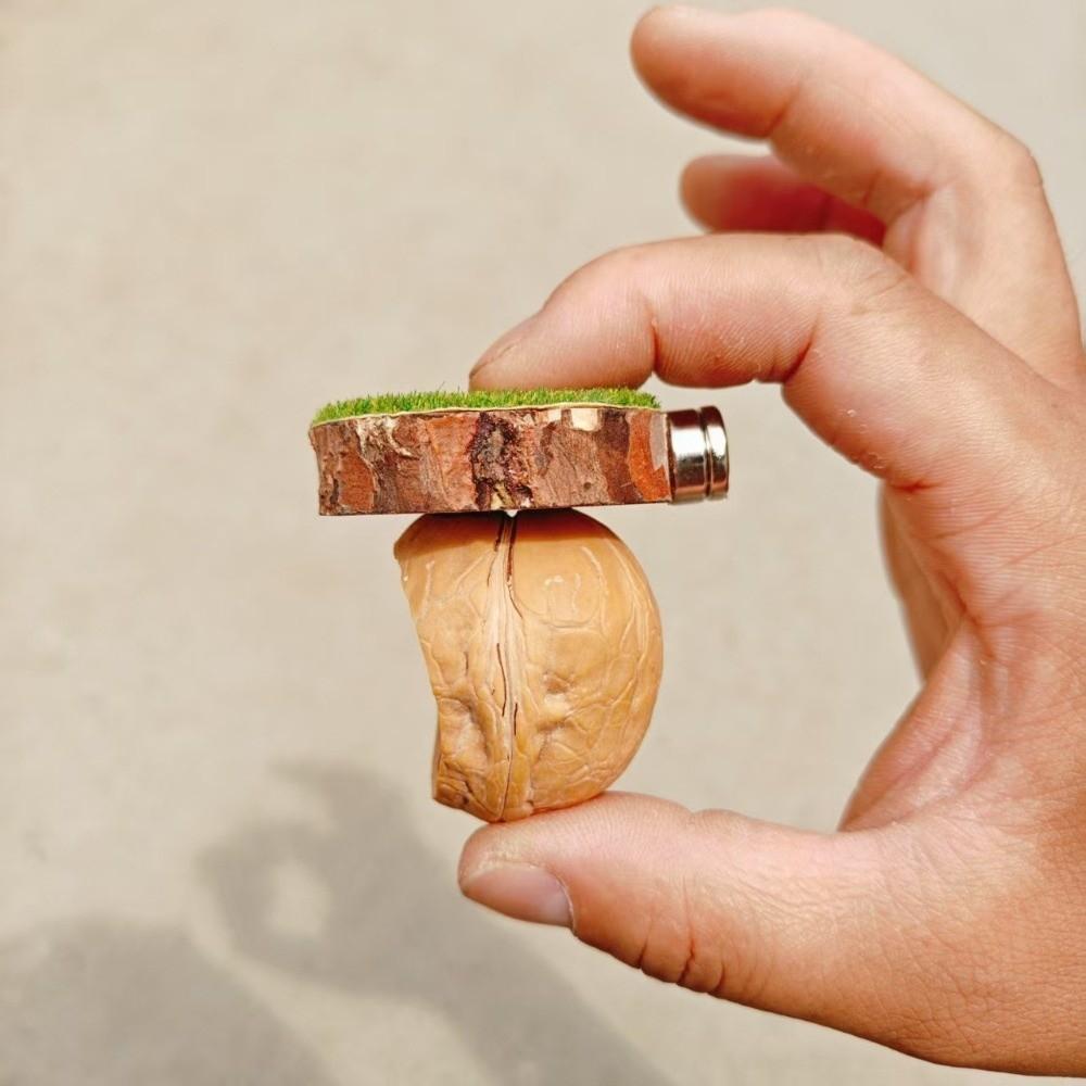 Hanging Jumping Spider Hideout Magnetic Install Insect Hide House Small Pet Supplies