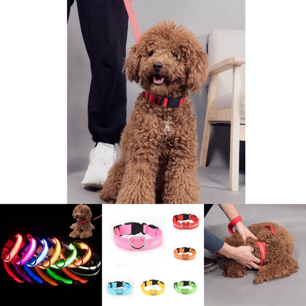 Brightly Colored Led Dog Collar Rechargeable Light-up Neckband For All Size Dogs