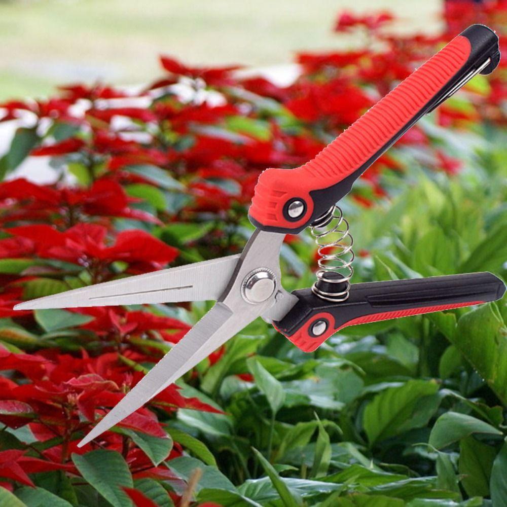 Branch Pruner Pruning Gardening Shears Garden Scissors Branch Pruning Shears Gardening Hand Pruner