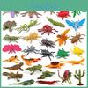 Miniature Insect Model Set With Pvc Material For Collectors And Educational Displays