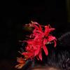 Chinese Style Lycorisradiata Hair Stick Artificial Flowers Hanfu Hair Clip  Photograph