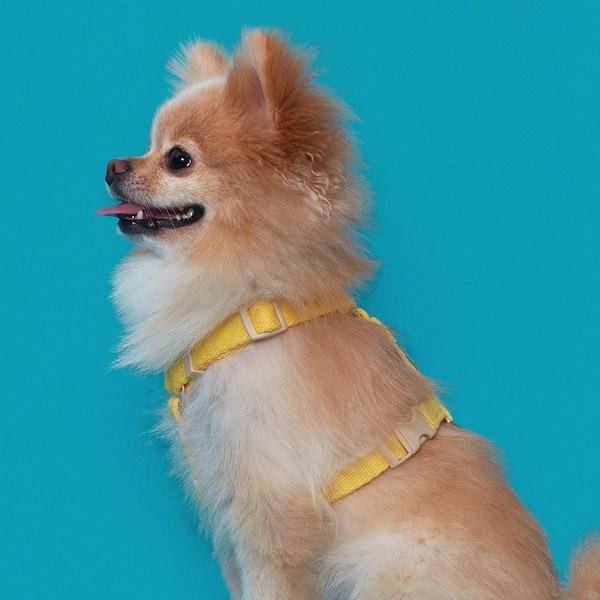 Superpet Dog Cotton Harness, Anti-flip H Type Dog Chest Strap, 100% Pure Cotton, Yellow
