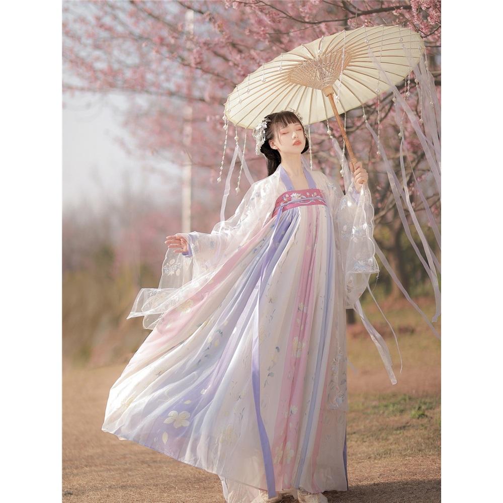 Chinese Tang Dynasty Style Hanfu Embroidery Daily Suit For Women