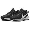 Nike  Pegasus Trail 5 Black White Women Sneakers Anthracite Wolf-Grey DV3865-001