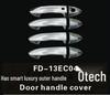 Ford Ecosport Door Handle and Bowl Modification Stickers