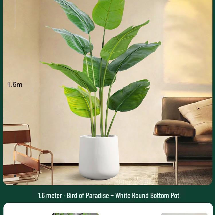 High-End Indoor Bird of Paradise Decor: Luxury Potted Traveler's Palm