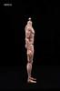 Neinei Male Action Figure Body Set [Tbmodel] 1/6 MX02-A
