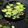 Breathable Floating Island Plant Protector Net Fine Mesh Pond Plant Isolation Net  Water Features