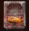 Fat-Free Fryer 5.5L 1500W Large Air Fryer Oven Xl Window 60Min