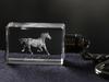 Zweibrücker - Crystal Pendant with Photo of a Horse, Illuminated Pendant, Unique Gift by Art-Dog Brand