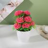 Flower Pot Plastic With Twelve Ball Chrysanthemum For Indoor Decoration