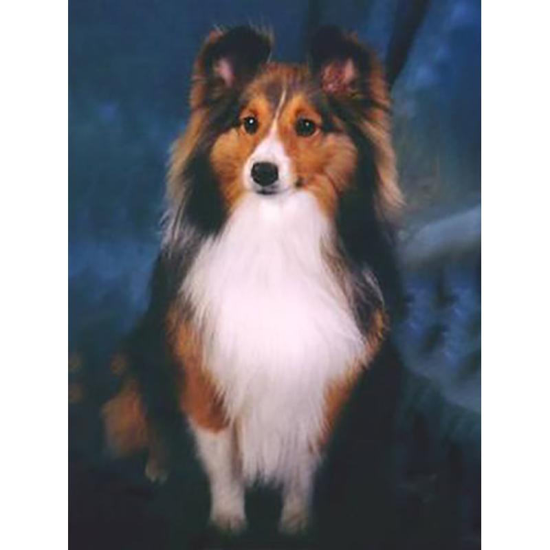 DIY 5D Diamond Painting Cross Stitch Kits Full Round Drill Dog Wall Art Mosaic Animal Diamond Embroidery Home Decoration Gift