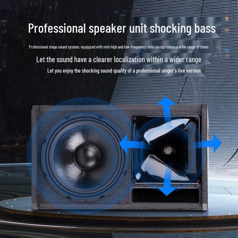 SainSonic Professional 15-inch PA Speaker System with Amplifier & Wireless Mics