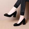 Temperament Square Head Thick Heel Single Shoes Spring and Autumn New Shallow Mouth Water Buckle High Heel Work Women's Shoes