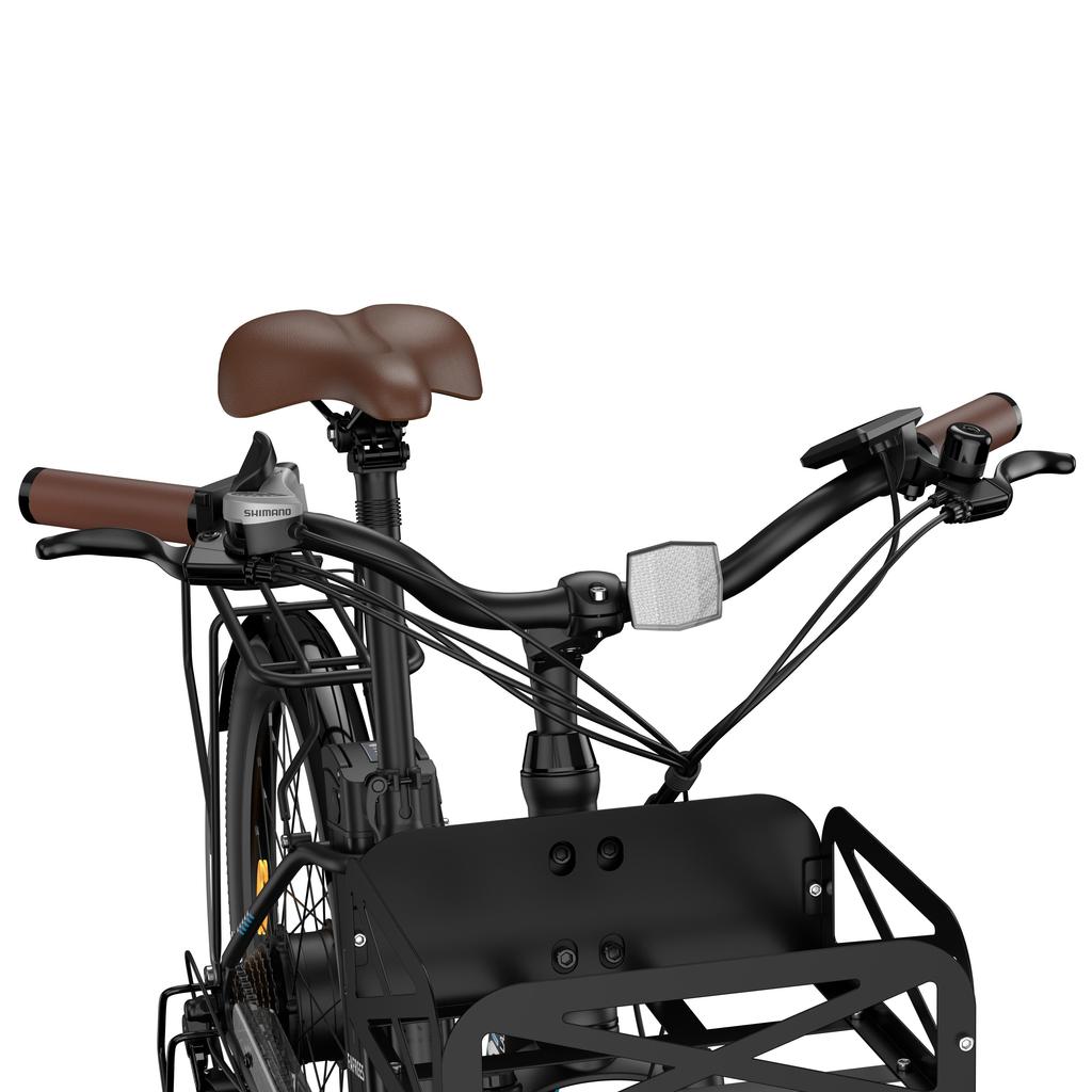 FAFREES F26 Lasting Electric Bike 36V 20.3Ah Battery, 250W Motor, 80-100KM Range, 26*1.95 Inch Tires E-Bike