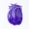 10PCS/lot Natural Roosters Tail Feather Bulk 10-16inch/25-40cm Cock Chicken Feathers Decorations for Carnival Stage Performances