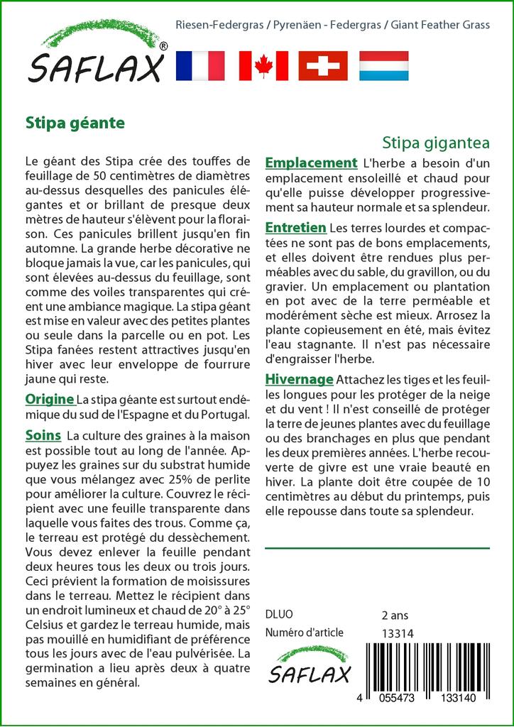 SAFLAX Zahrada v pytli - Obří péřová tráva - 10 semen - Se substrátem v padnoucím sáčku - Stipa gigantea
