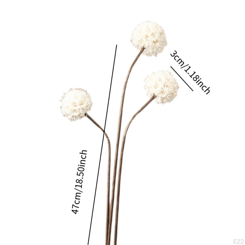 Dried Flower Arrangement in Vase, DIY Centerpiece for Bedroom and Event Decor