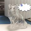 Keychain Pendant Transparent Cat Design Pet Hair Storage Box Key Chain Pet Hair Pendant Keyring Hair Storage Bottle Keychain