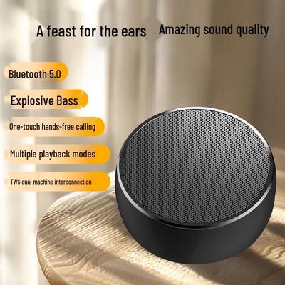 BS01 Portable Bluetooth Speaker: High-Quality Sound with Powerful Bass for Outdoor Camping