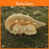 Creative Angel Dog Resin Sculpture With Illumination For Garden And Home Decor Gift