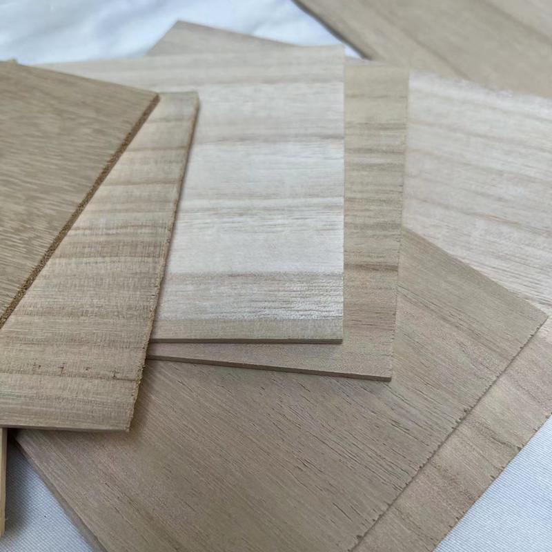 60cm List dýhy z paulovnie - Masivní dřevo, Laserem gravírovaný, DIY Architektonický model