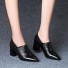 2024 New Pointy Women's Shoes Spring and Autumn Thick Heels with Everything Elegant Temperament Deep Mouth Small Leather Shoes