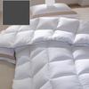 Le Qisi White Goose Down Duvet Insert