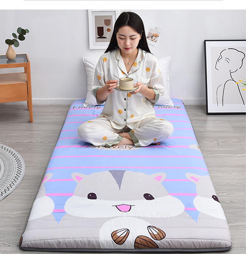 7L Winter Mattress Topper - Dorm, Student, or Kids' Single Bed Mat