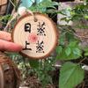 DIY Pine Wood Tree Ring Slices: Ideal for Decorative Backgrounds and Handmade Projects