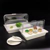 Clear Plastic Bread & Cake Display Tray with Insulated Dust Cover