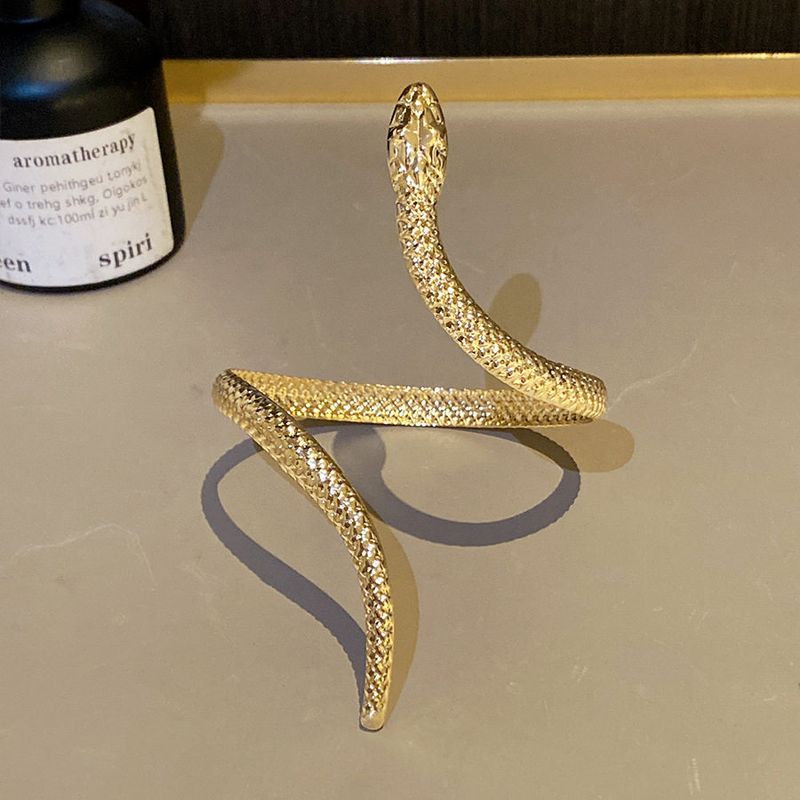Exaggerated Gold Arm Bracelet with Exotic Style for Travel Photography, Trendy and Cool Bracelet, Vacation Style Metal Accessory
