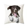 45x45cm Cute Cat Cushion Cover Polyester Throw Pillow For Bed Living Room Sofa Office Seat Car Kids  Decor Home