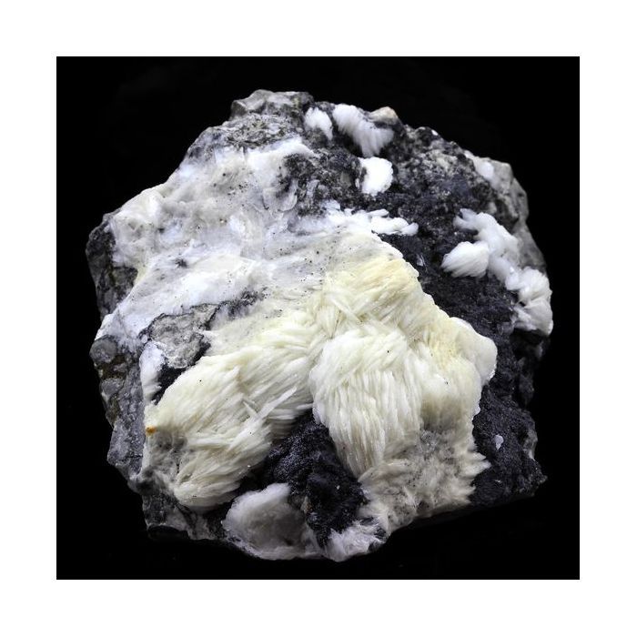 Pierres et Minéraux. Baryte + Sphalerite. 2567.0 ct. Les Malines, Saint-Laurent-le-Minier, Occitanie, France.