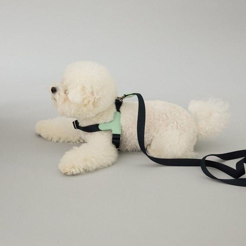 GOPE GOPE Bild Hundegeschirr MINA